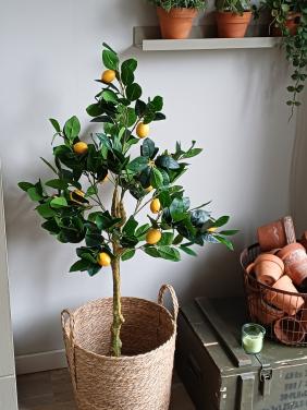 Kunst citroen boompje