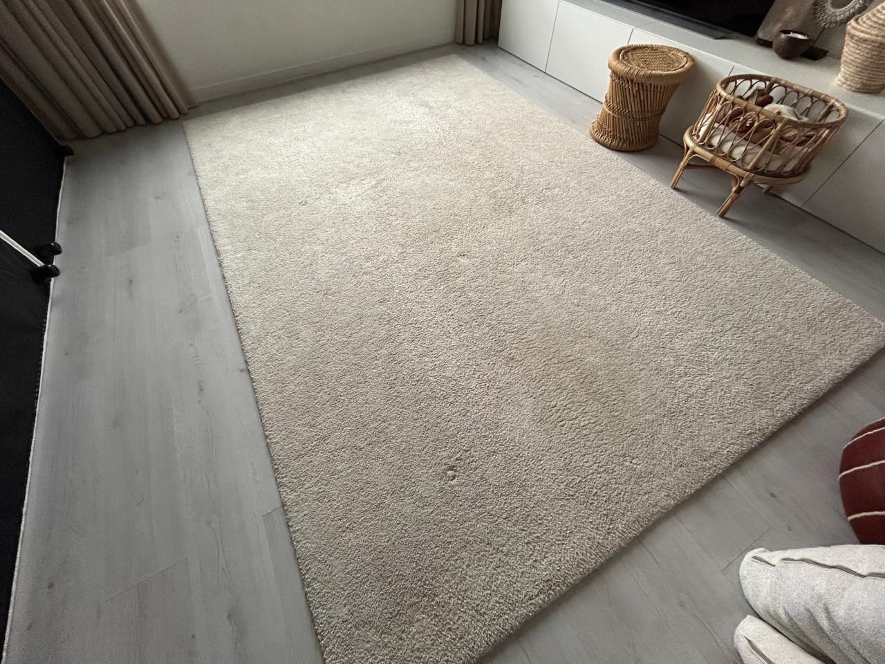 Vloerkleed, STOENSE, laagpolig (IKEA) 200x300cm