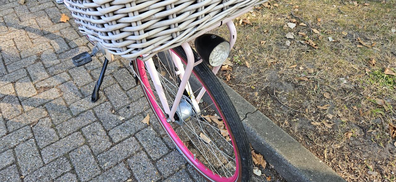 Gazelle Miss Grace Unieke Roze damesfiets