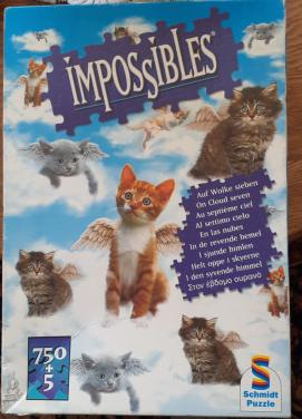 Impossible puzzel