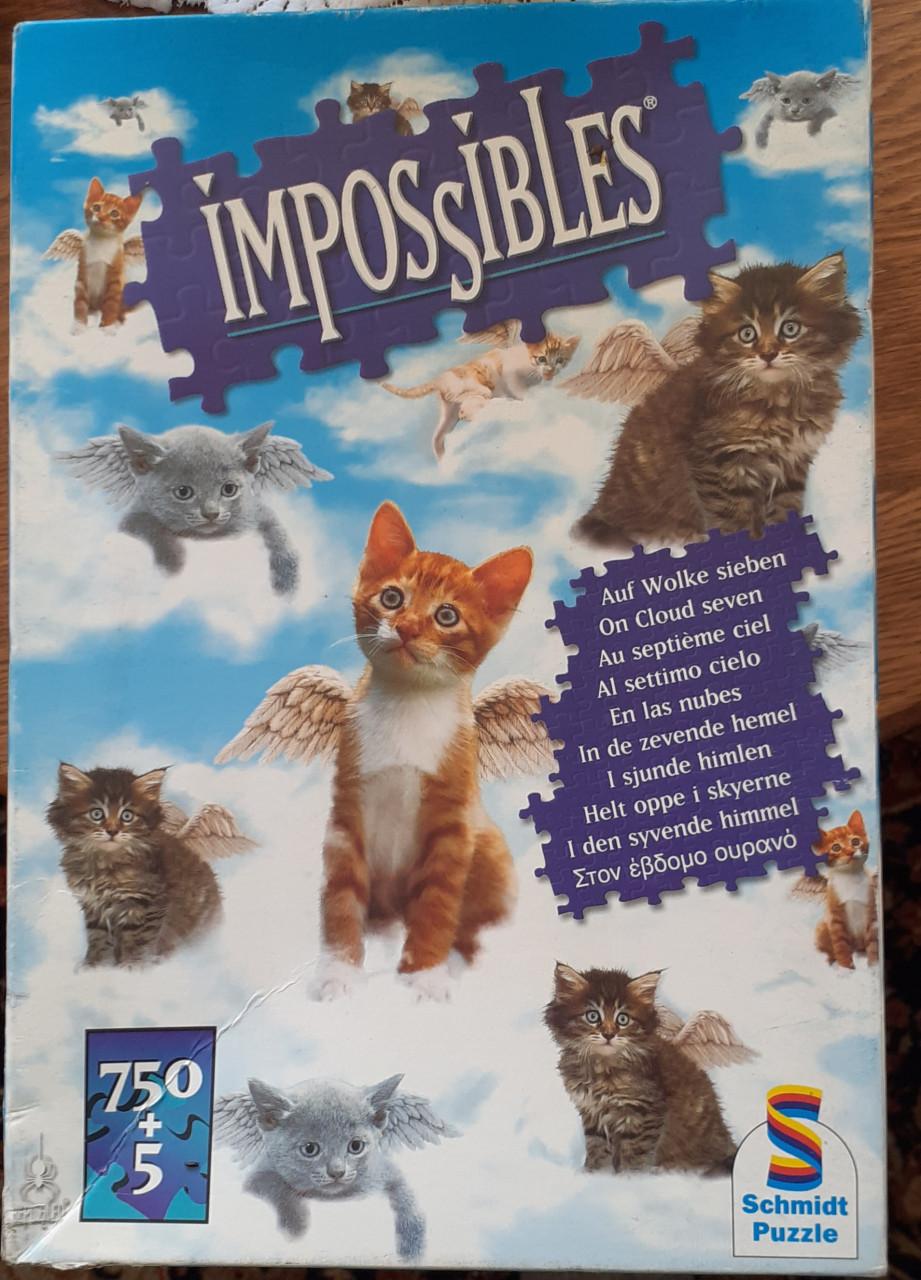 Impossible puzzel