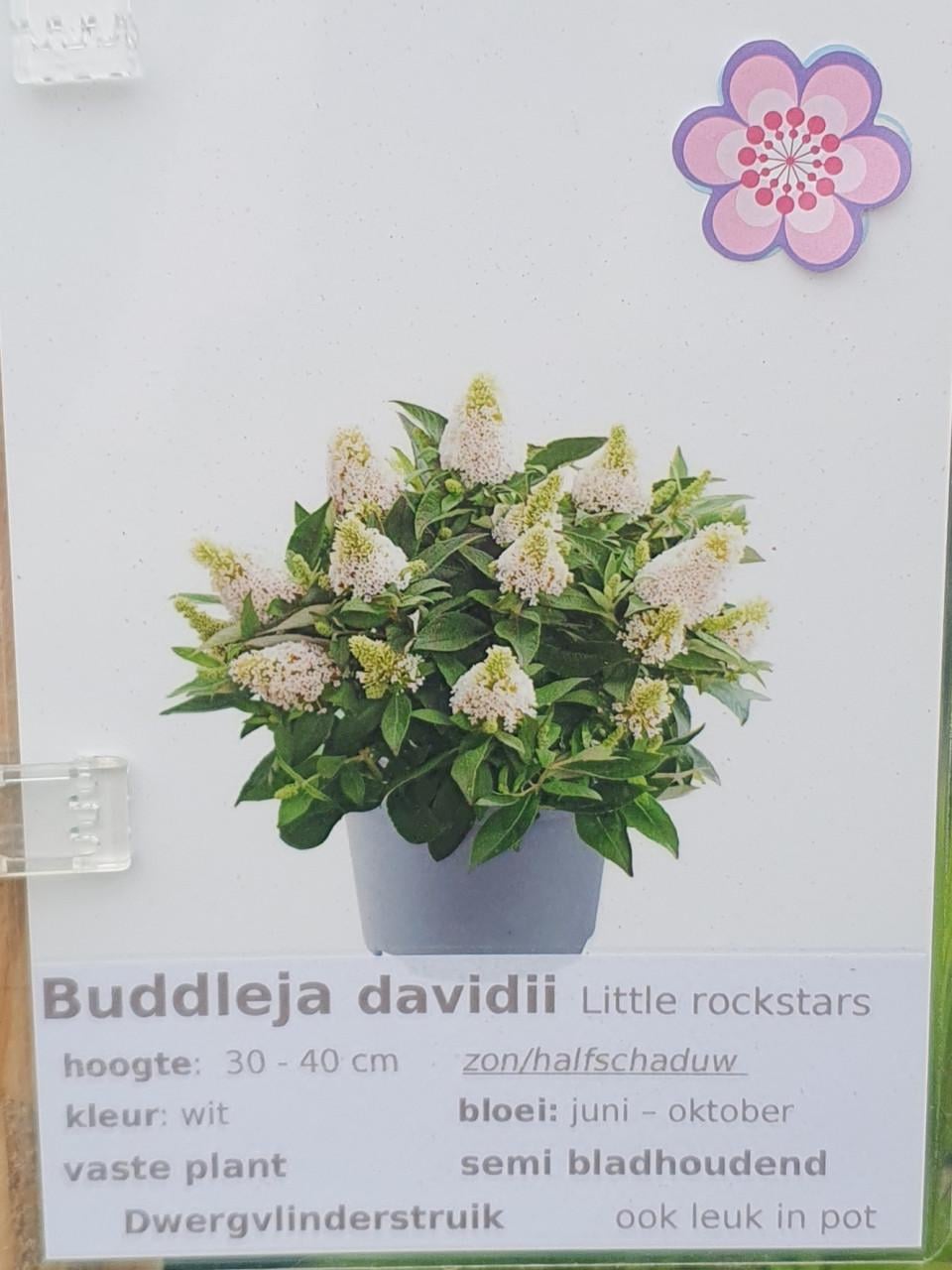 TUINPLANTEN Oudelande