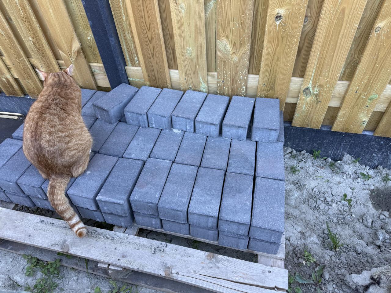 Gratis ophalen: beton klinkers