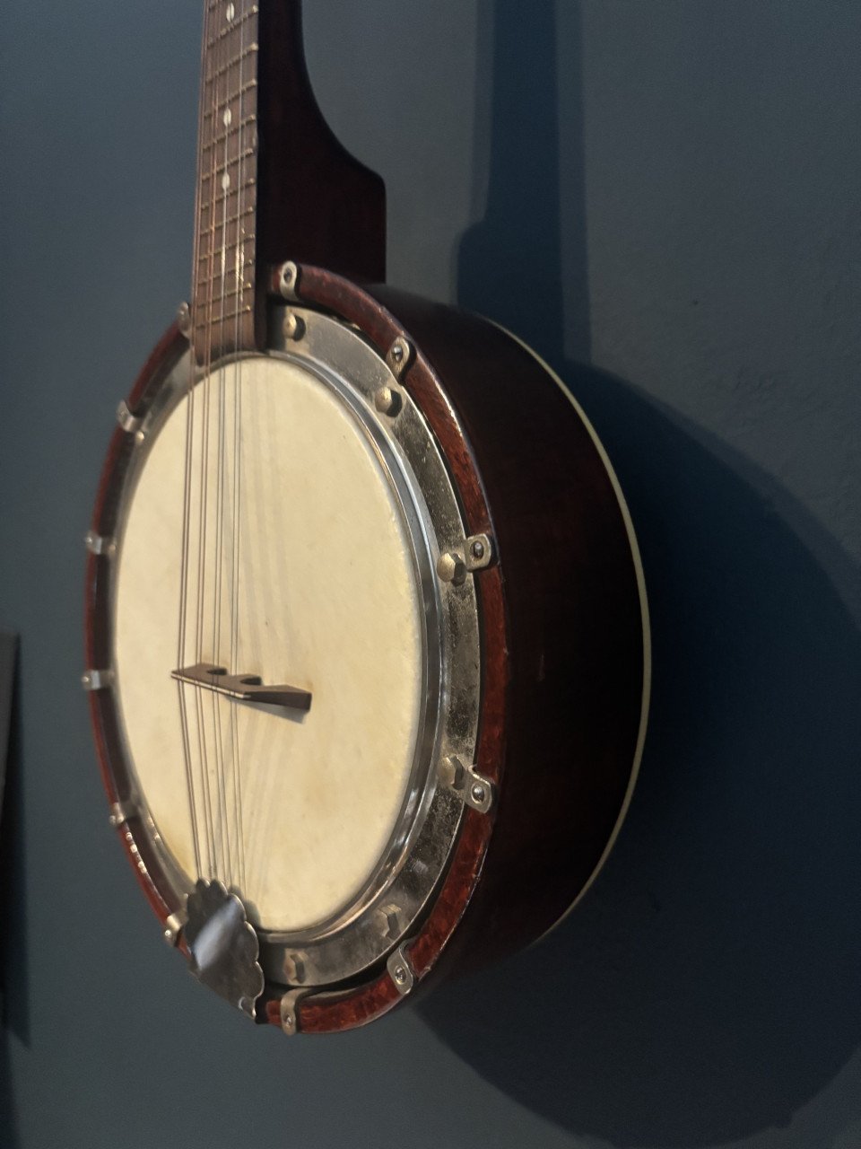 Banjo mandoline