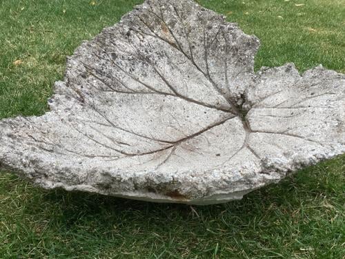 Decoratief betonnen rabarberblad