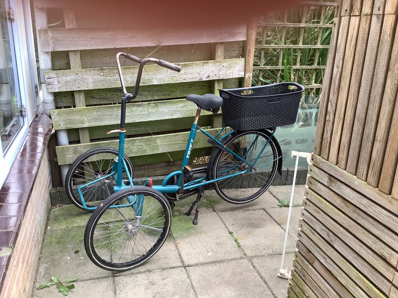Driewiel fiets volwassen