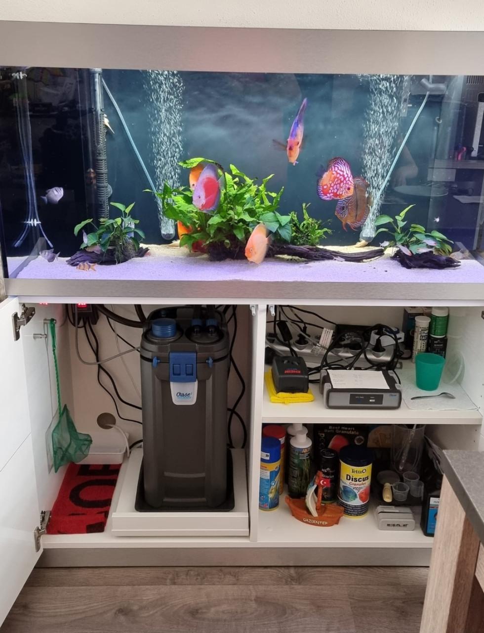 Oase Highline 300 / Discusvissen