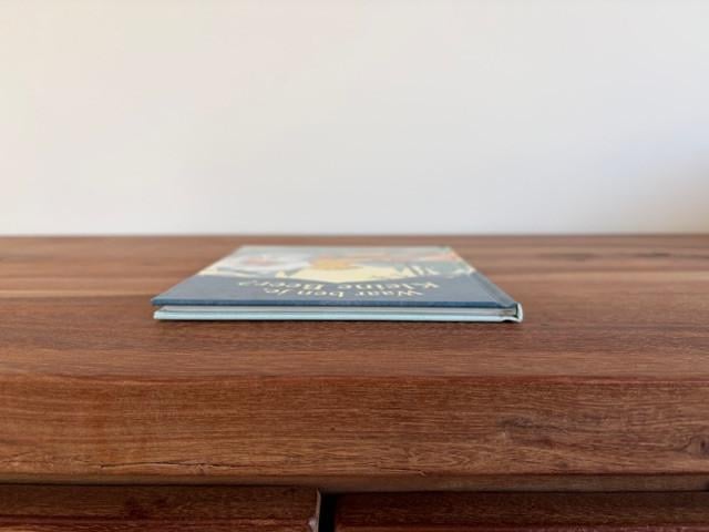 Waar ben je, Kleine Beer? | M. Waddell & B. Firth