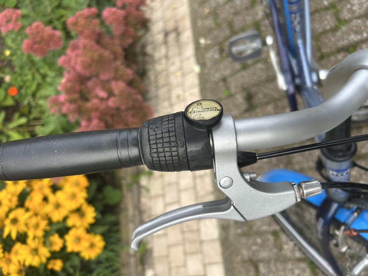 Meisjes fiets Gazelle Cheetah  3 versn velgrem achter rem. In orde gemaakt.