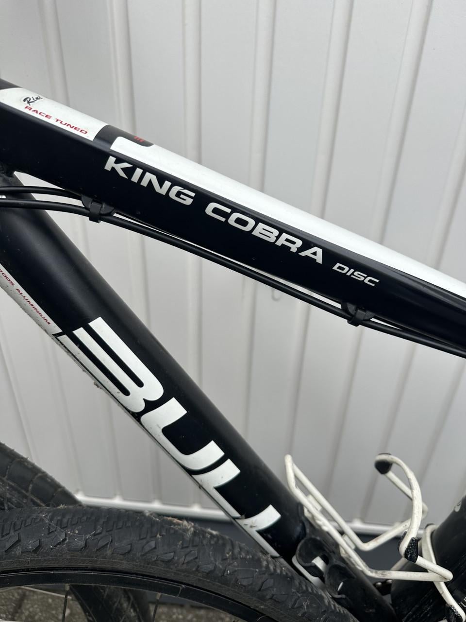 Bulls Kings Cobra Disc