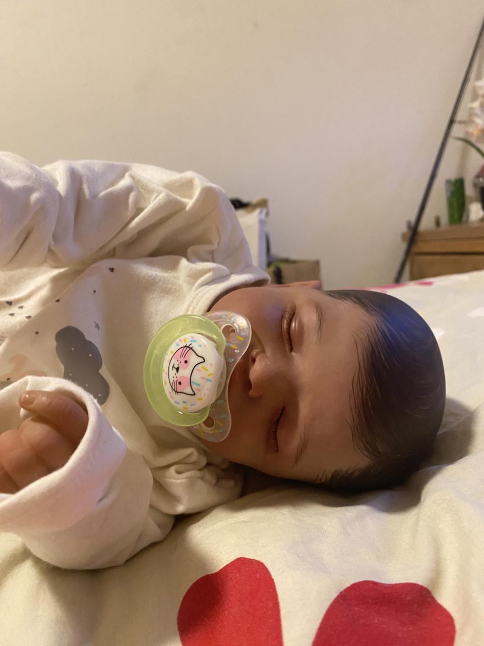 30 reborns voor 500euro