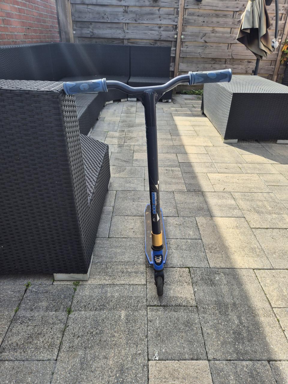 Stunt step