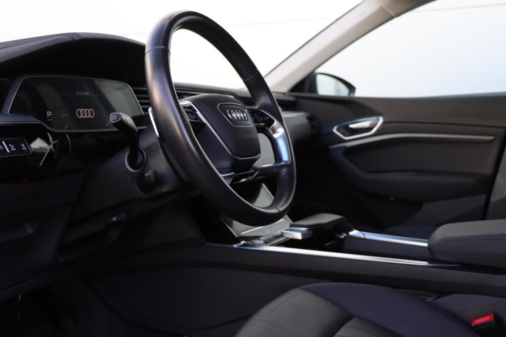 Audi E-tron e-tron 50 quattro launch edition plus 71 kwh 313pk pro line