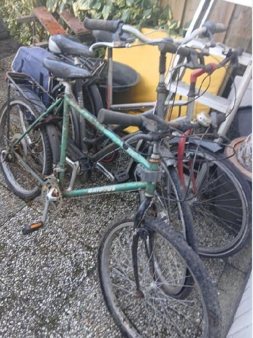 Fietsen dames & heren