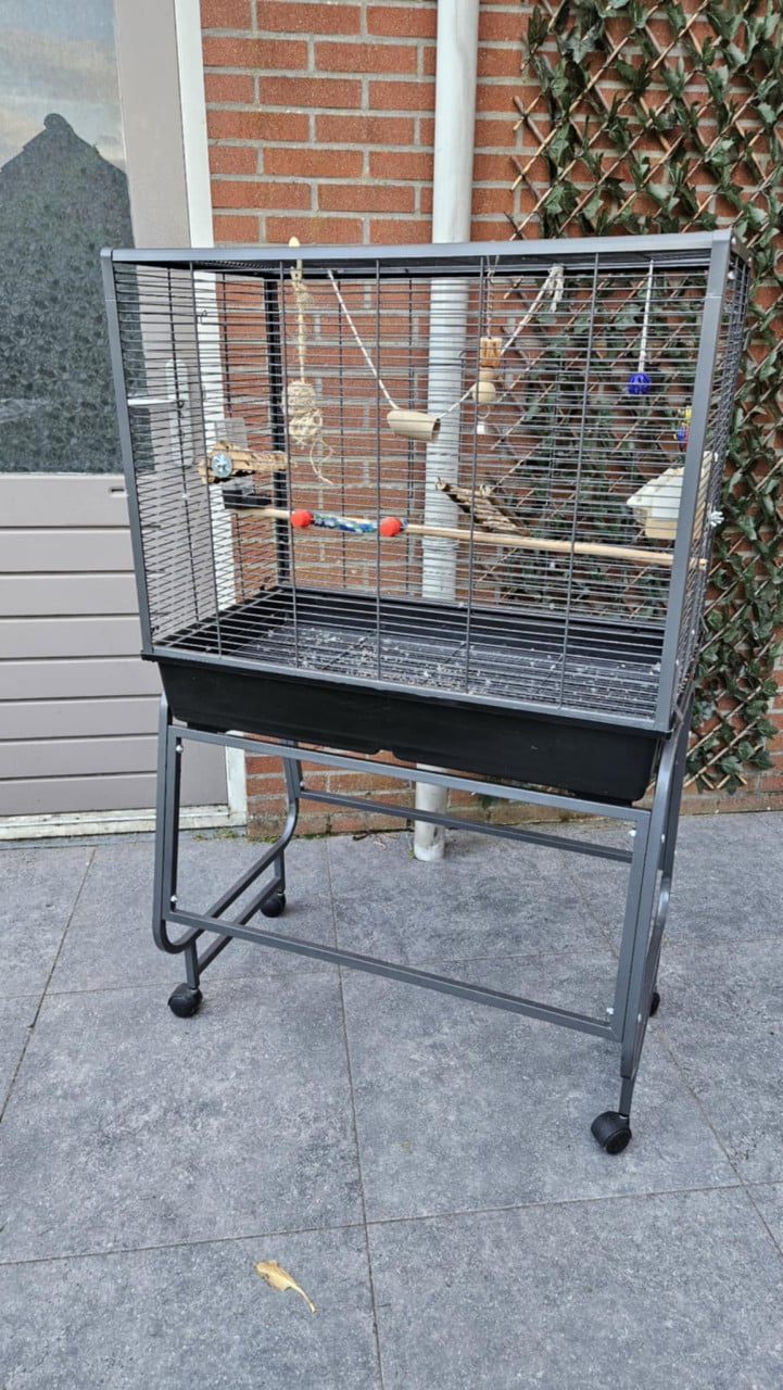 Vogelkooi op verrijdbare wieltjes