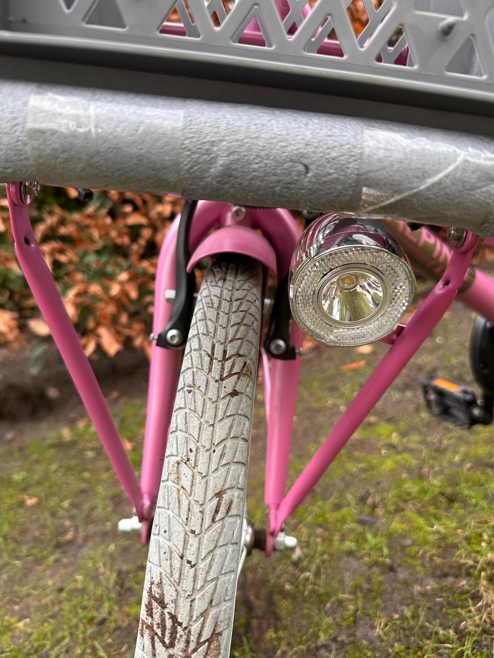 Meisjesfiets - 20 inch - Alpina Cargo Fuchsia Pink Matt