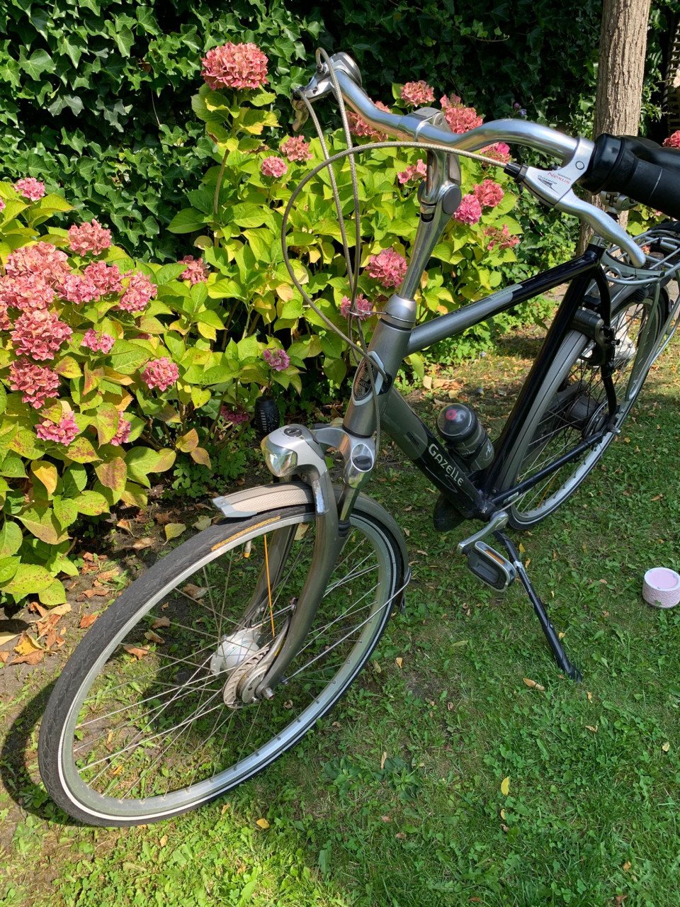Gazelle Orange Goldline maat 61