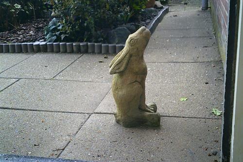 TUINBEELD - moongazing hare ...
