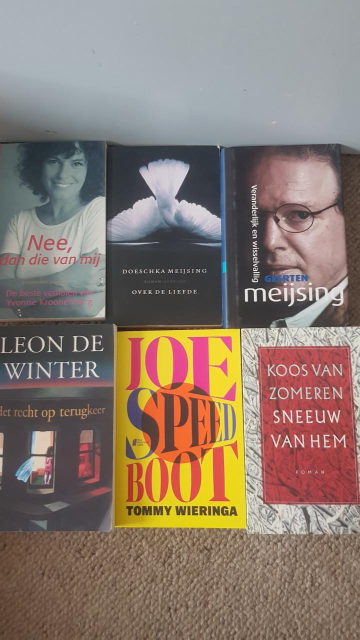 Moderne en oudere Nederlandse romans