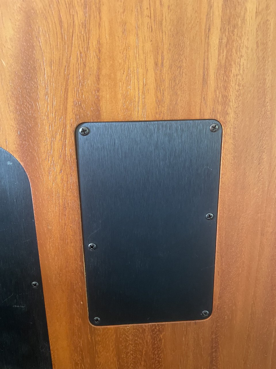 Fender usa Acoustasonic