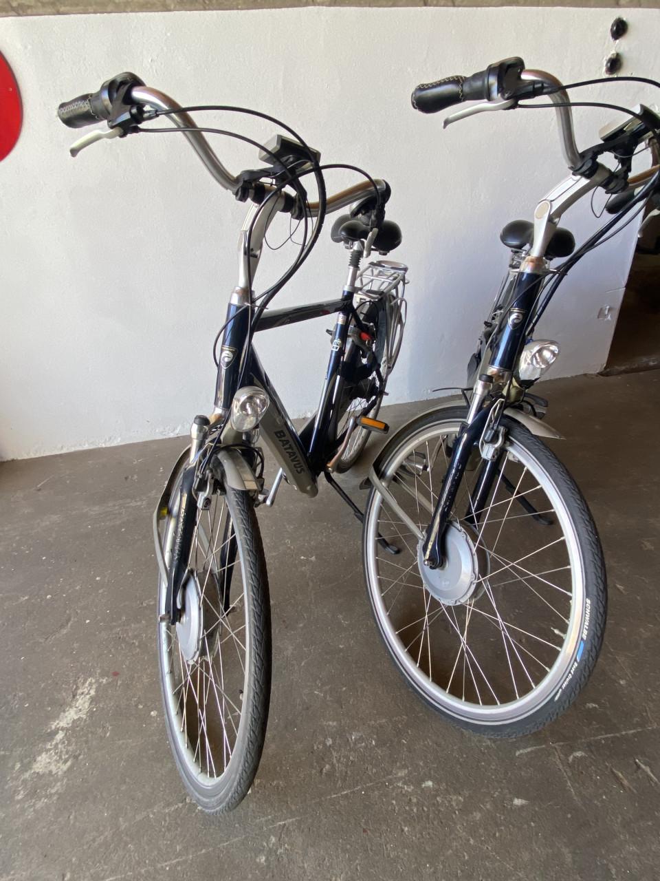 Elektrische fietsen Batavus