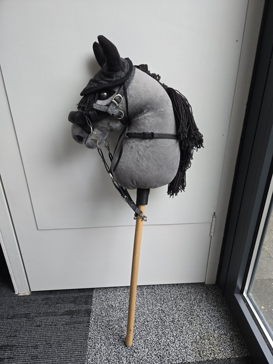 Hobbyhorse