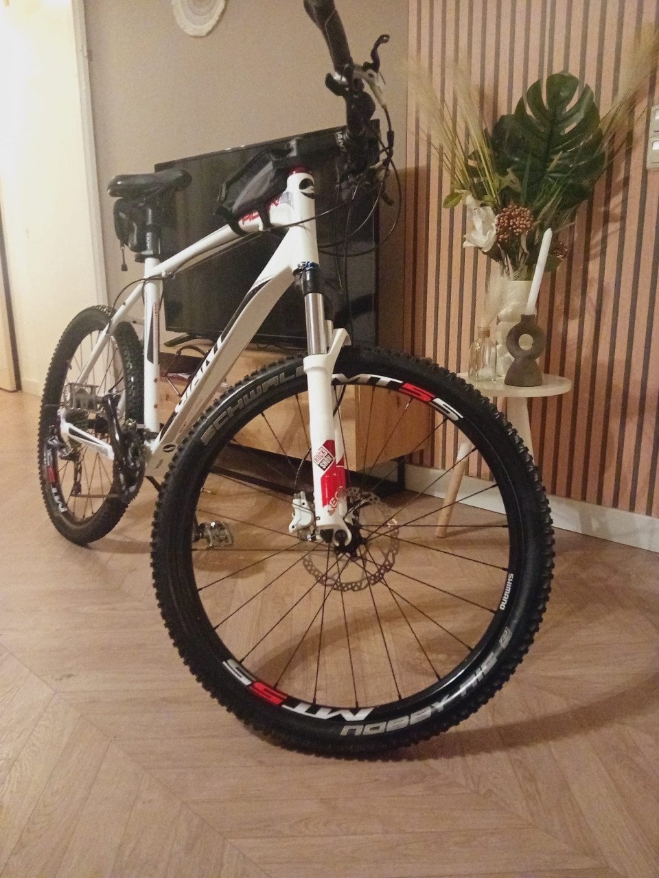 Stoere GIANT MTB XL