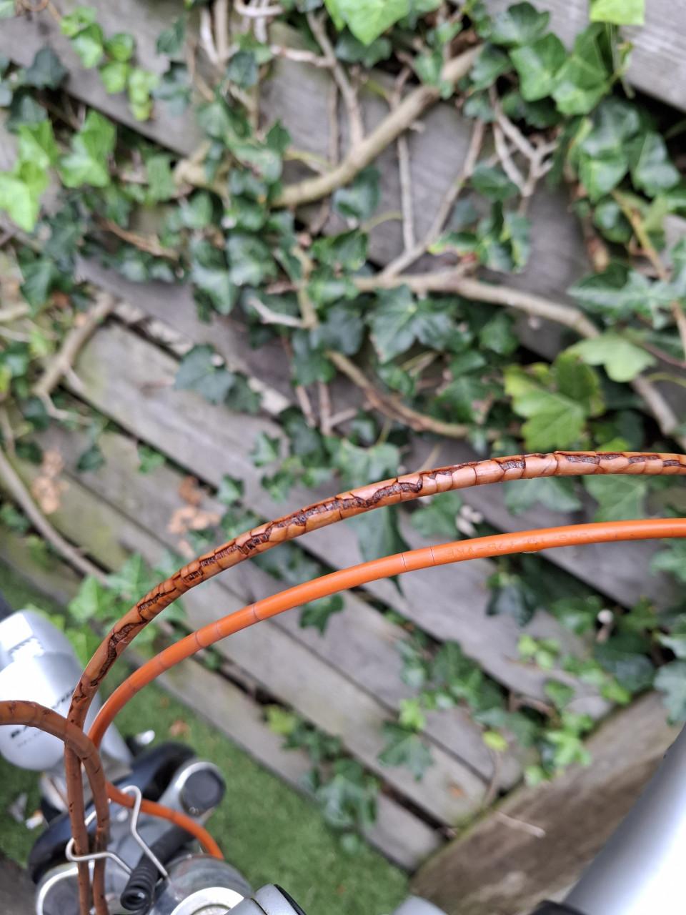 Gazelle fuente v 24 damesfiets 28 inch.