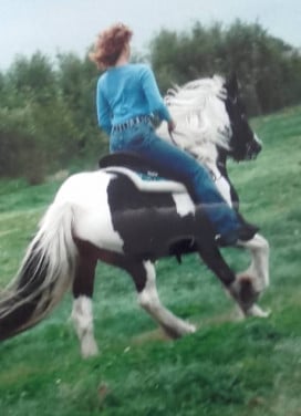 Brave E pony te koop gevraagd.
