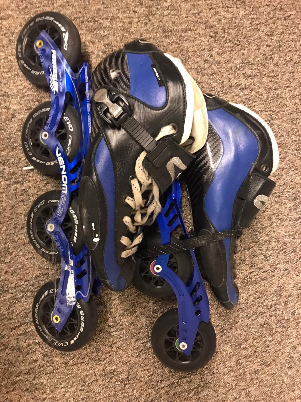 Skeelers
