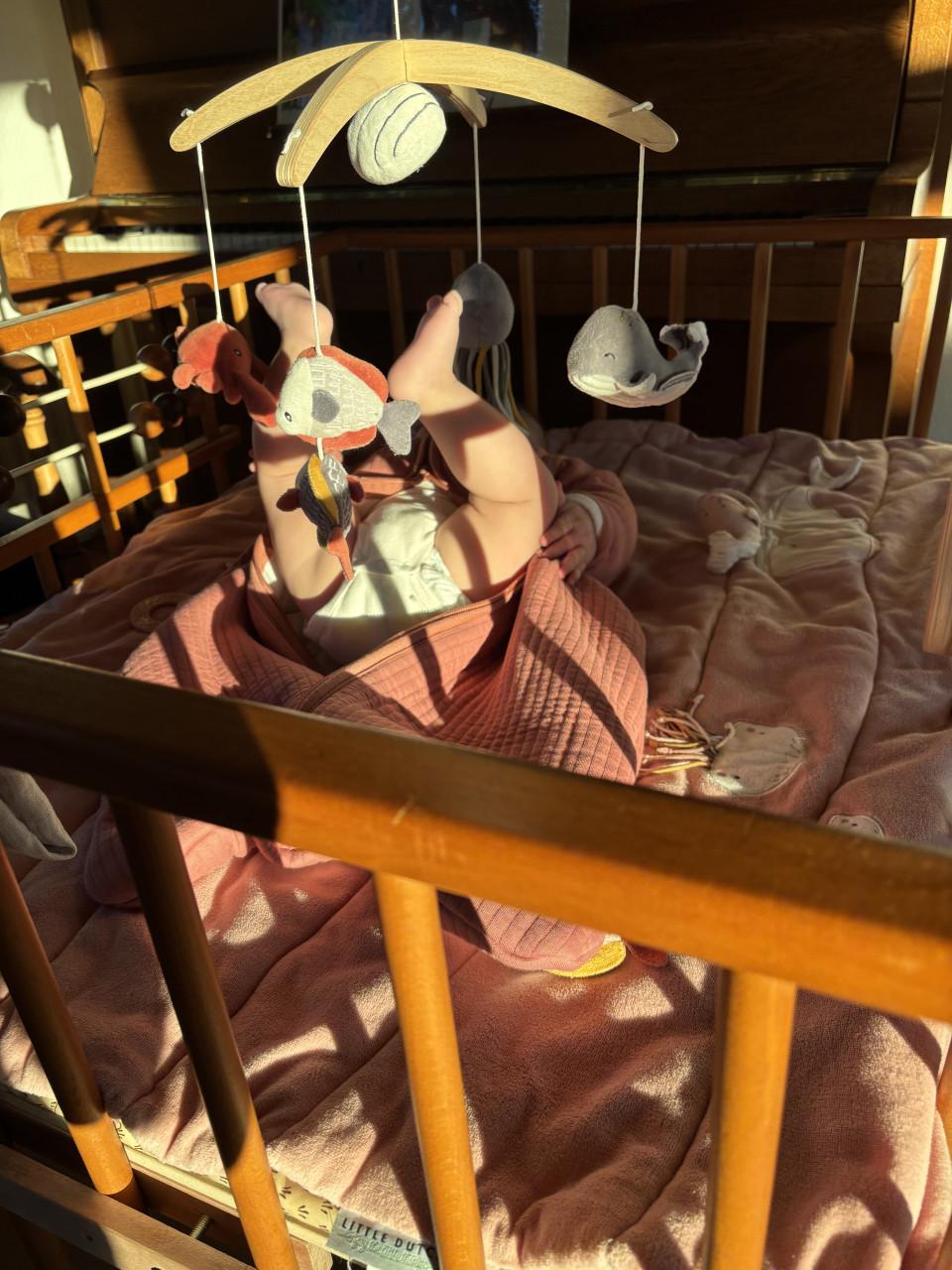 Baby-box, beukenhout, inklapbaar en met verhoging