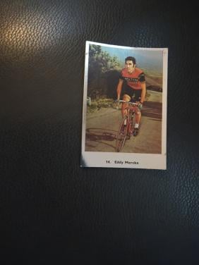 Silver cards monty gum