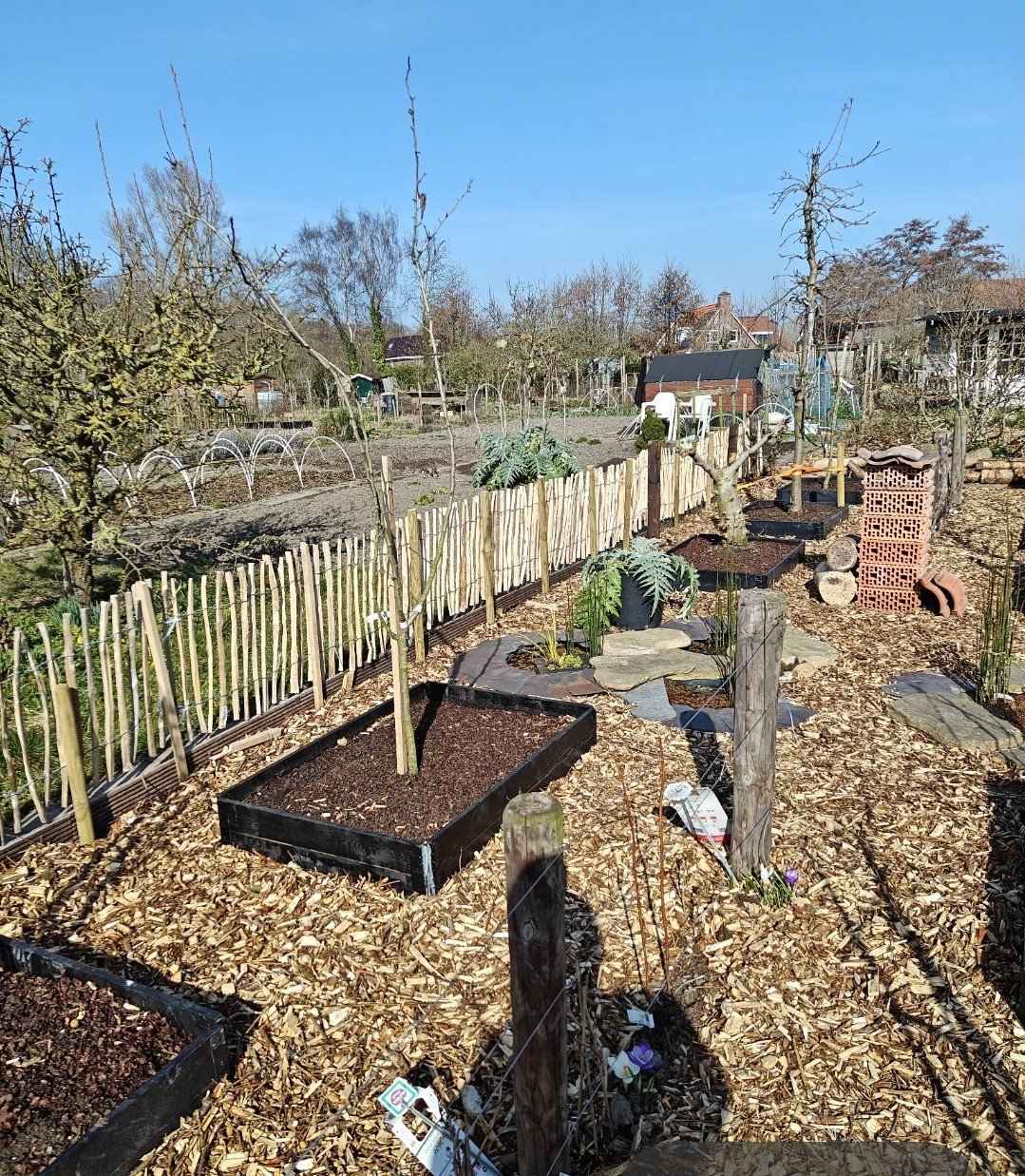 Pallet randen, palletranden, moestuin bakken.
