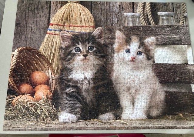 Katten puzzel
