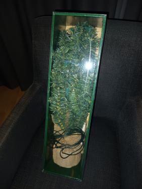 Op de valreep: een mini kerstboompje