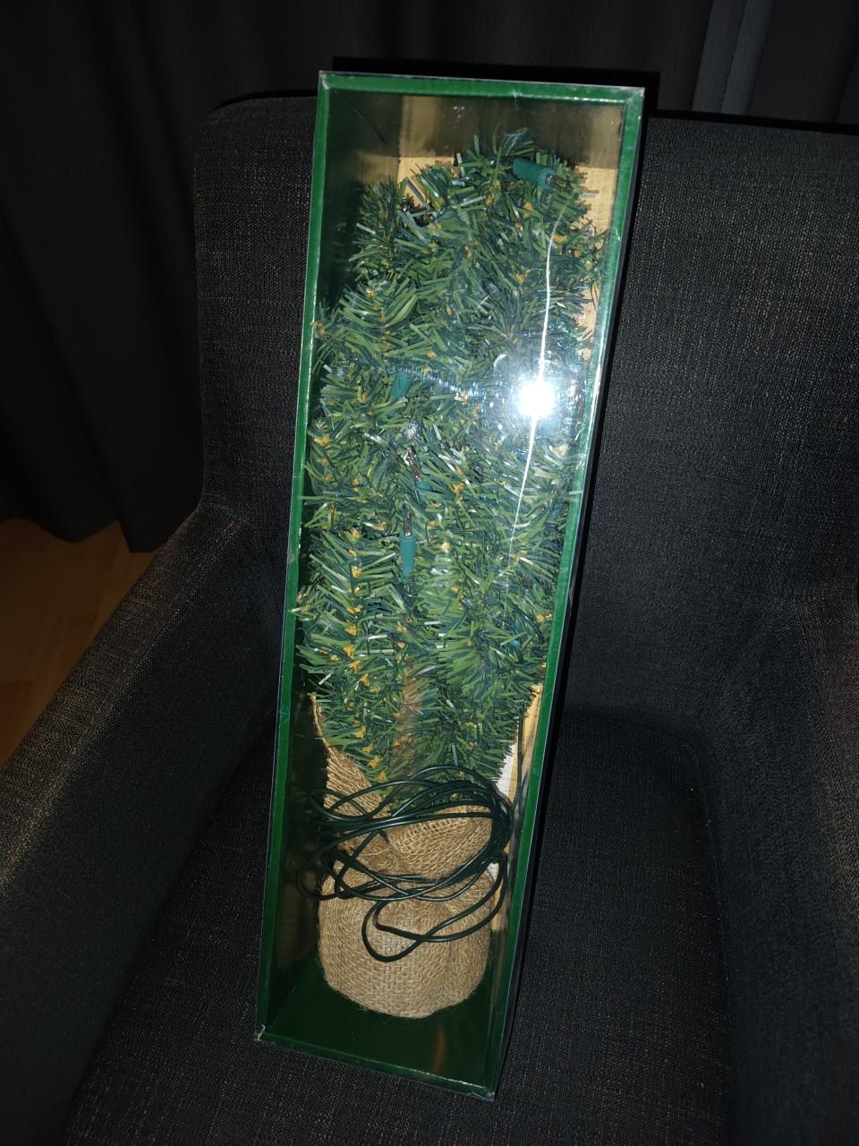 Op de valreep: een mini kerstboompje