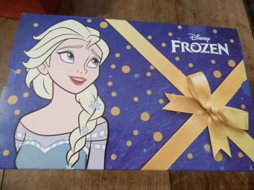 Disney bewaarblik Frozen.