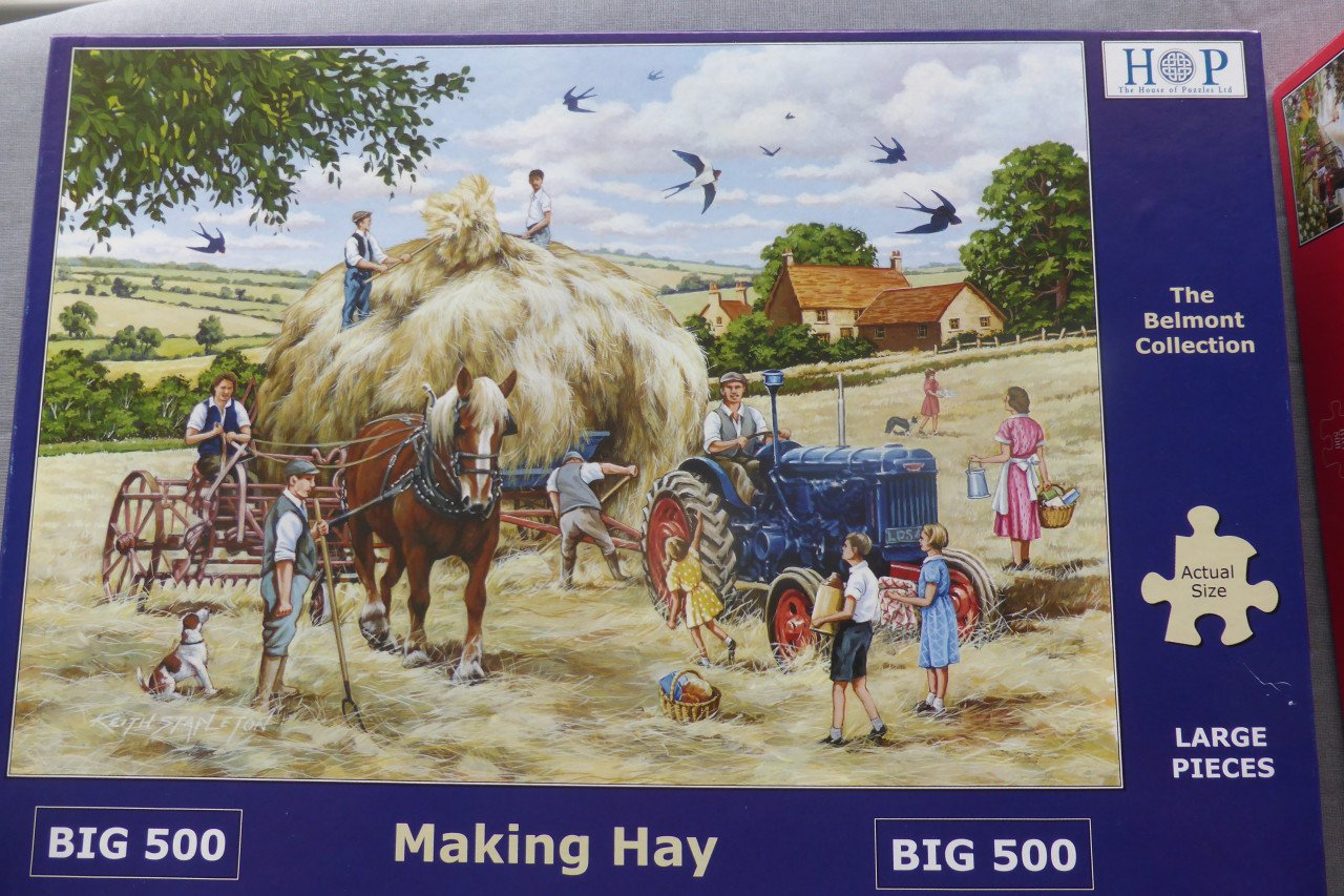 Legpuzzels 500 stukjes XL