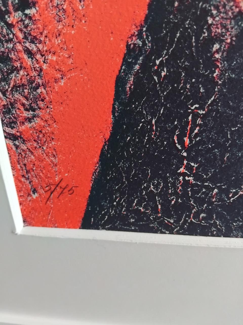 Vincent Mengin-Lecreulx : evolution