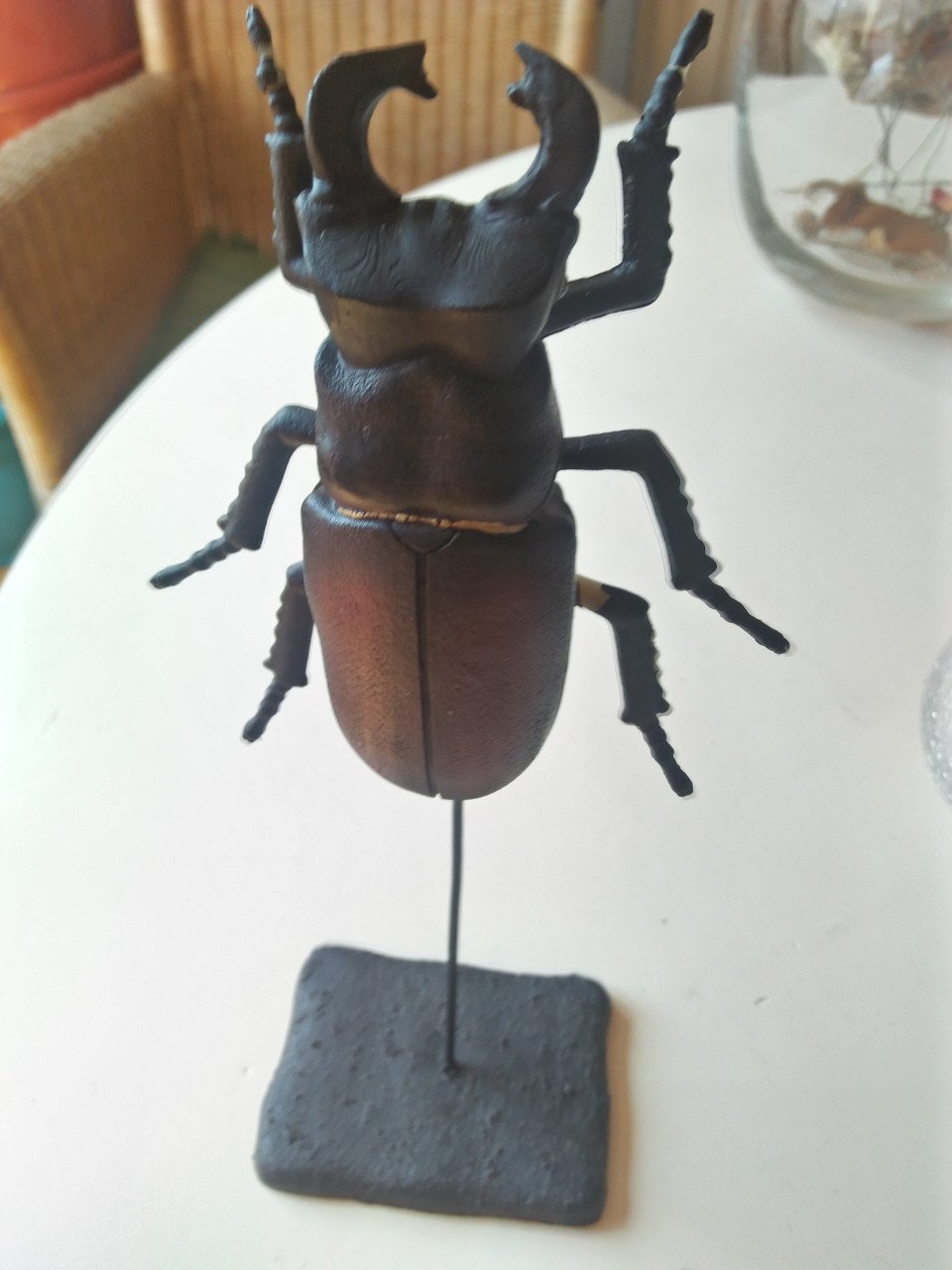 Kever op houder