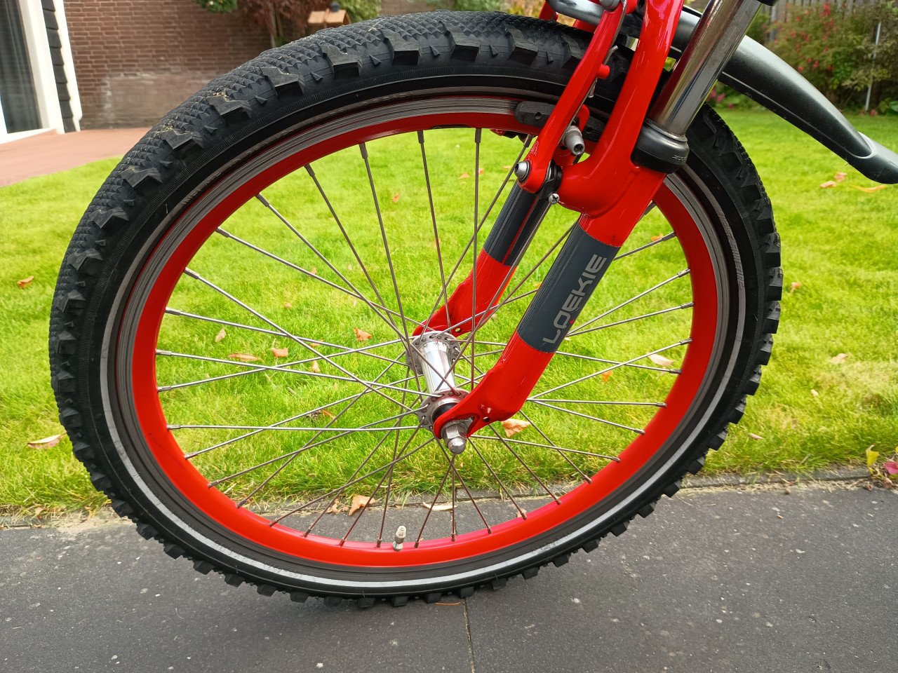 Jongensfiets 22 inch Loekie Snake