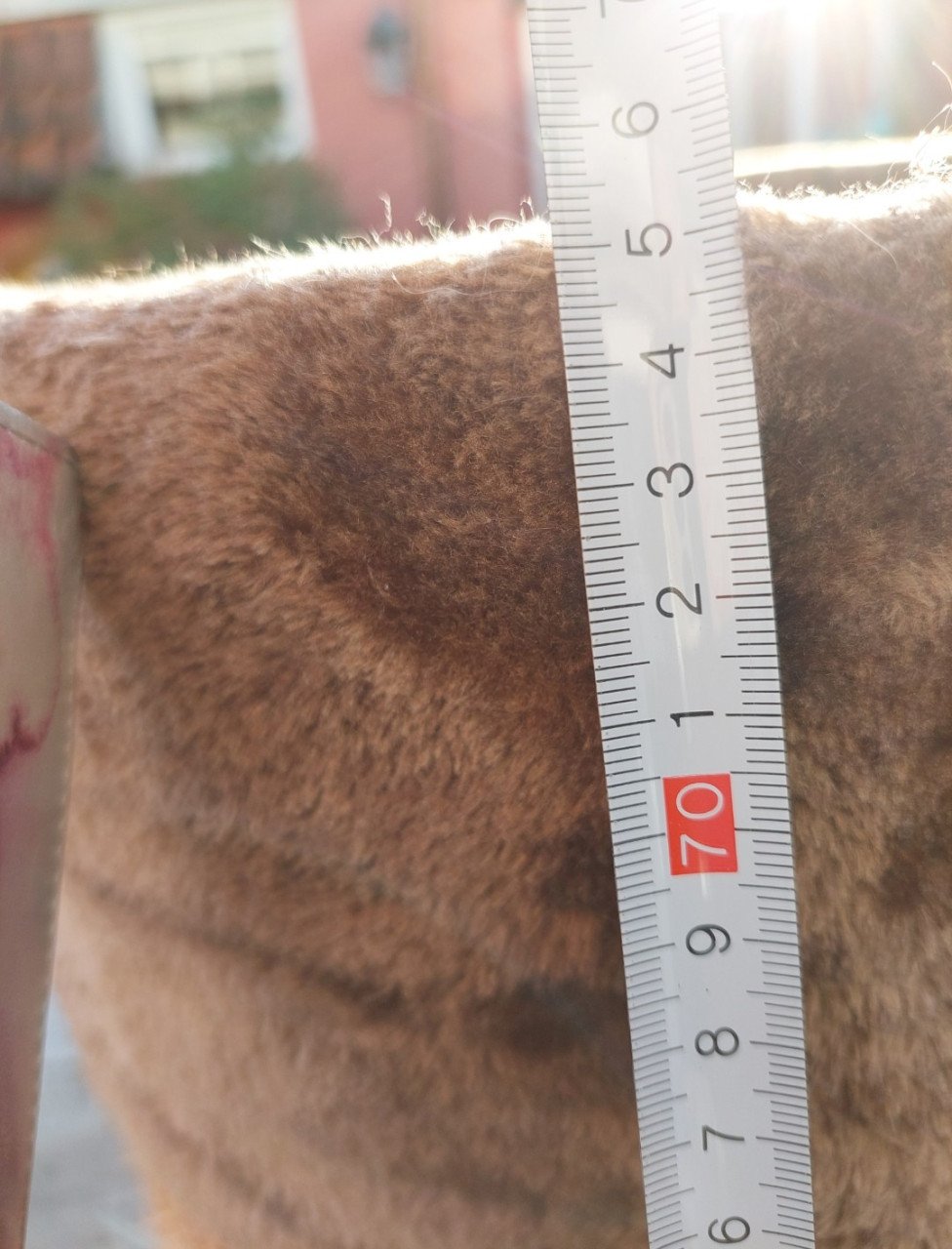 Kattenkrabton camelkleur &kattenkrabtrapje beige