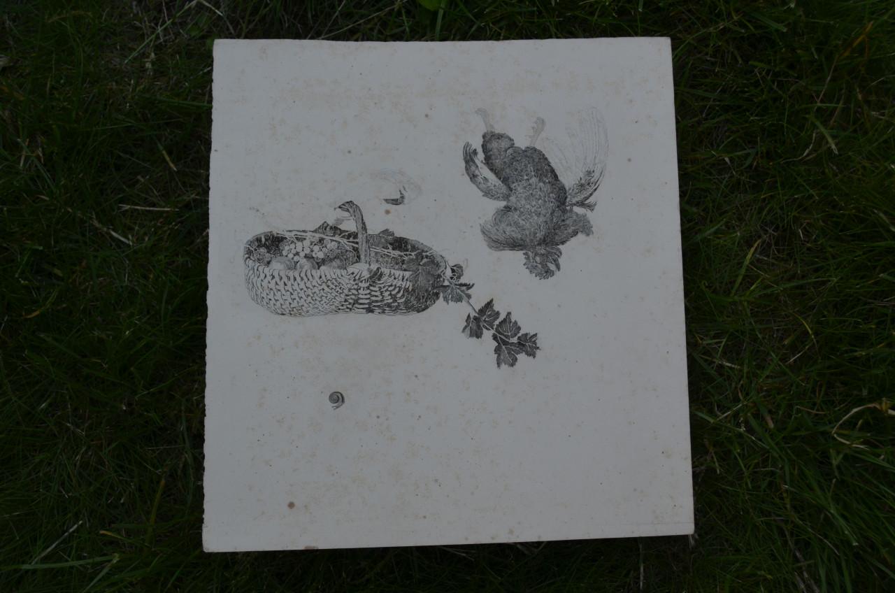 9 Staalgravures 19e eeuws Stadia van een schilderij