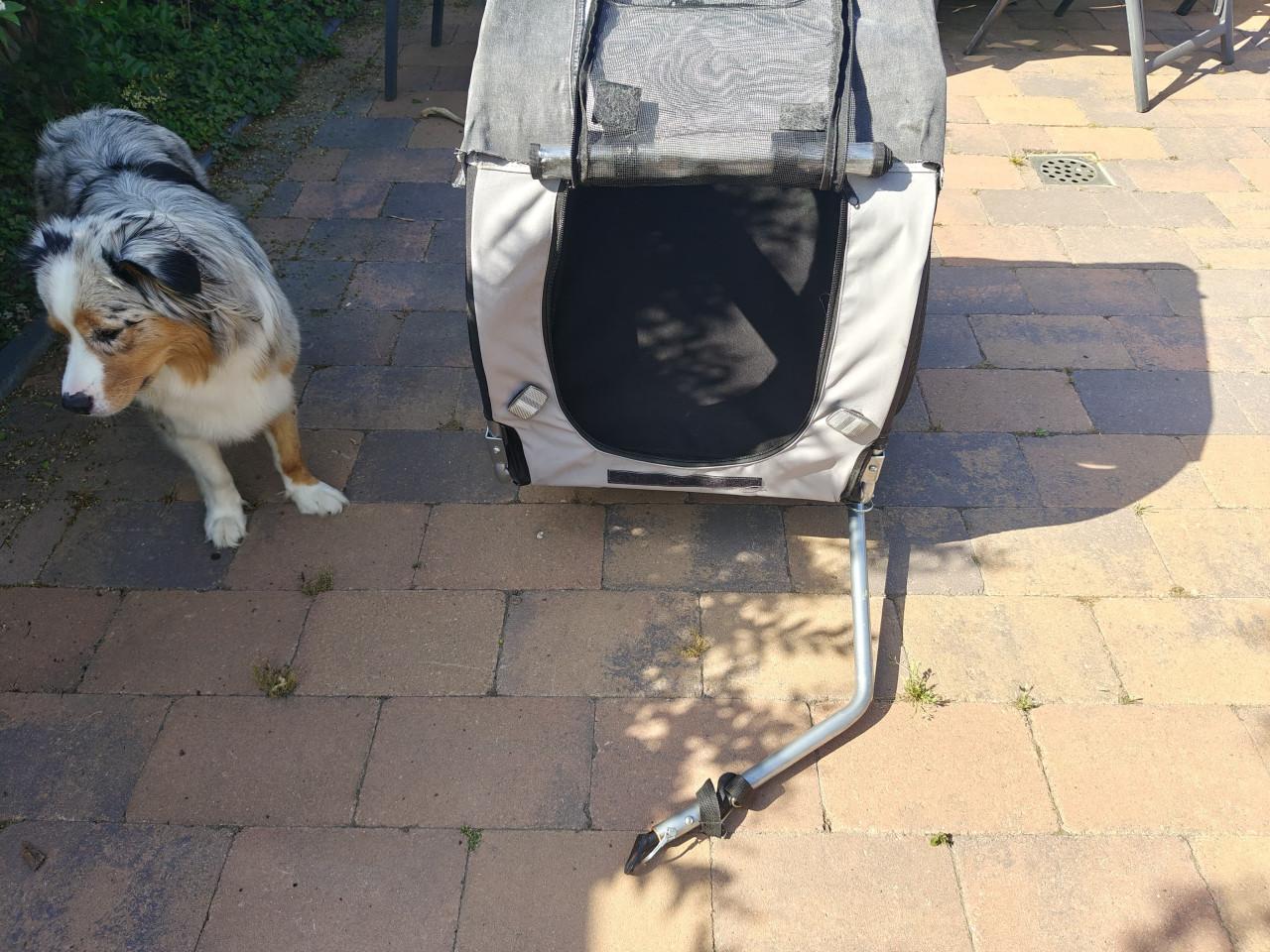 Fietskar hond