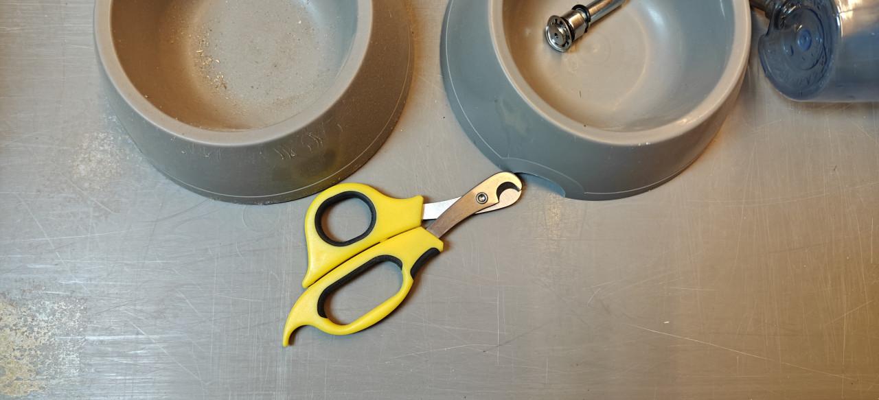 Te Koop Cavia kooi en rek voor buiten