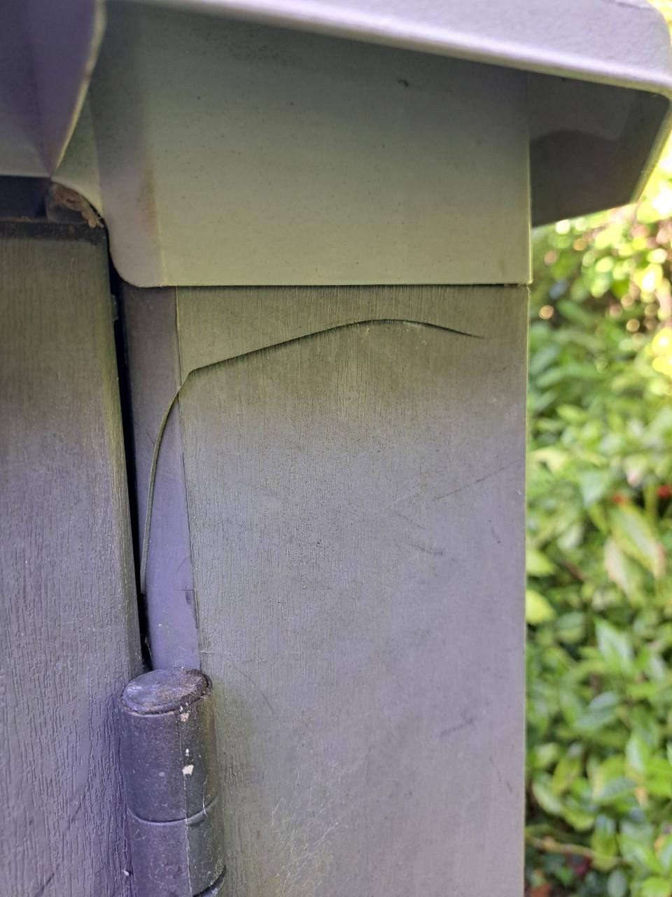 Grote kussenbox van Keter