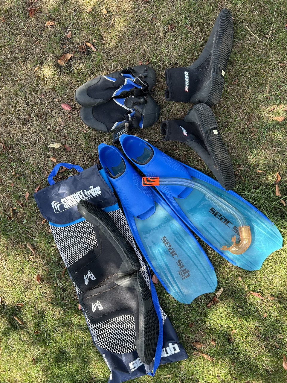 Flippers  Snorkel en waterschoenen