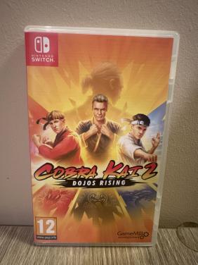 Cobra Kai 2 Dojos Rising switch 1+2