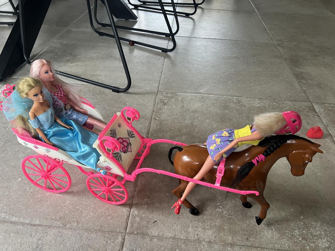 Barbiespulletjes