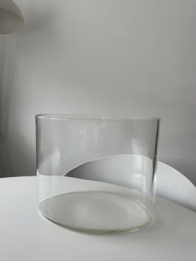 Glazen kom (vissen)